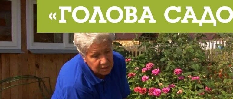 Тетя Таня голова садовая: биография, фото, личная жизнь